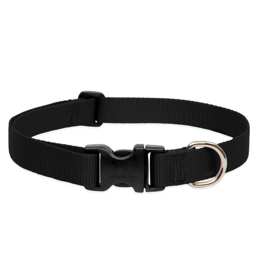 Lupine Pet Dog 1 In Wide 12-20 In Adjustable Collar Basics Black