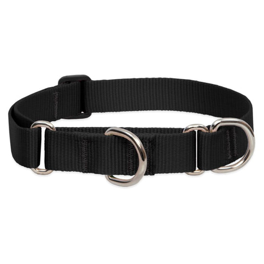 Lupine Pet Dog 1 In Wide 15-22 In Martingale Collar Basic Black
