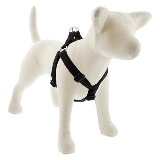 Lupine Pet Dog 1 In Wide 24-38 In Step  In Harness Basics Black