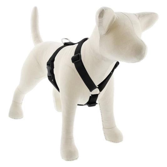Lupine Pet Dog 1 In Wide 24-38 In Roman Harness Basics Black