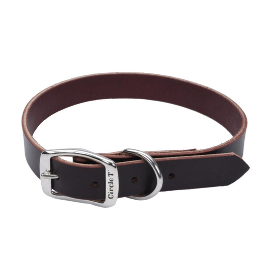 Coastal Circle T Latigo Leather Town Dog Collar, Latigo, Small - 5/8in x 16in