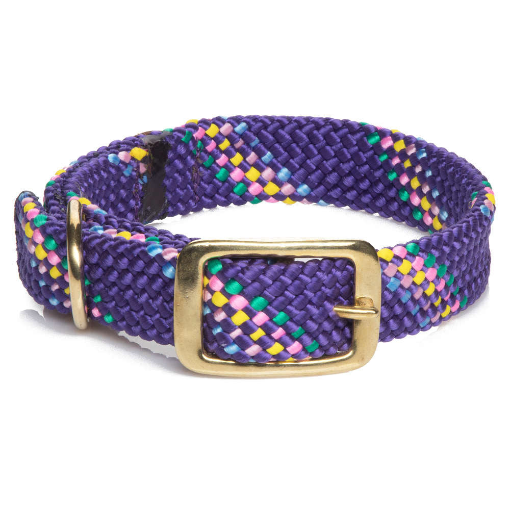 Mendota Pet 21in Double Braided Brass Buckle Dog Collar 1in Purple Confetti