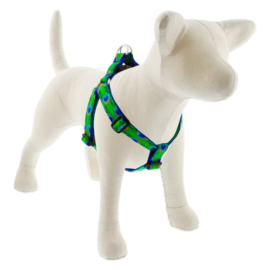 Lupine Pet Dog 1 In Wide 24-38 In Step  In Harness Original Designs Tailfeathers