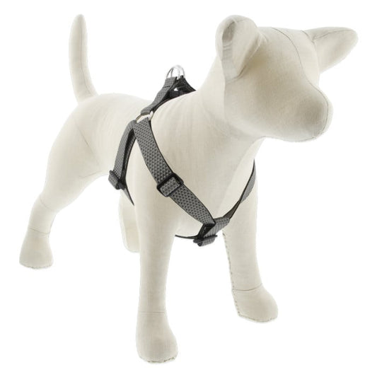 Lupine Pet Dog 1 In Wide 24-38 In Step  In Harness Eco Granite