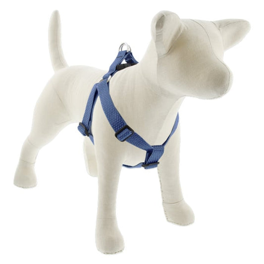 Lupine Pet Dog 1 In Wide 24-38 In Step  In Harness Eco Mounta In Lake