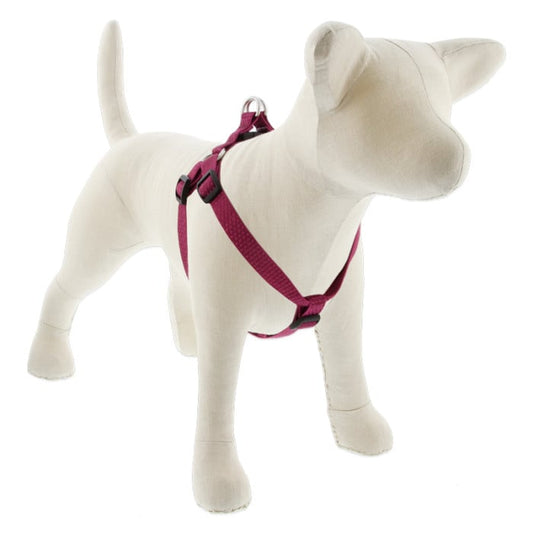 Lupine Pet Dog 3/4 In Wide 15-21 In Step  In Harness Eco Berry
