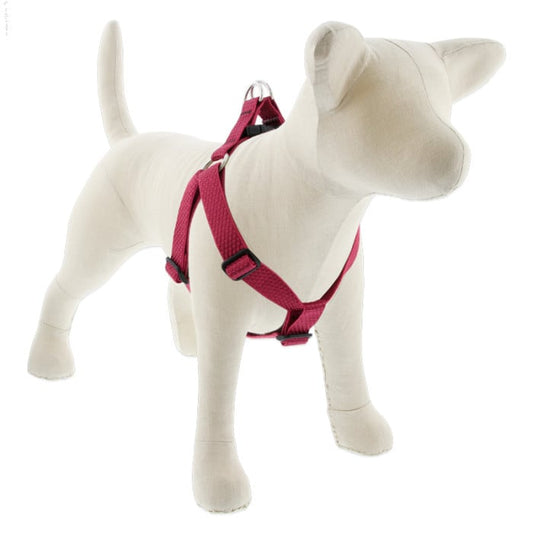 Lupine Pet Dog 1 In Wide 19-28 In Step  In Harness Eco Berry