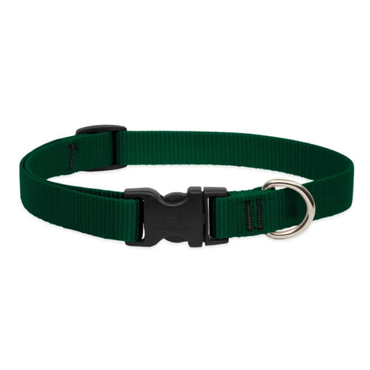 Lupine Pet Dog 3/4 In Wide 15-25 In Adjustable Collar Basics Green