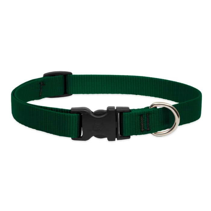 Lupine Pet Dog 3/4 In Wide 13-22 In Adjustible Collar Basic Green