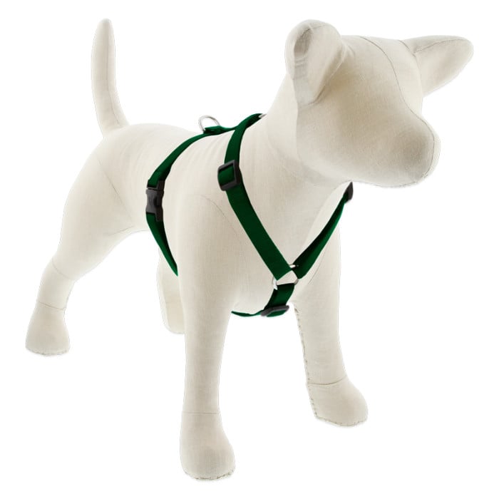 Lupine Pet Dog 3/4 In In Wide 14-24 In Roman Harness Basics Green