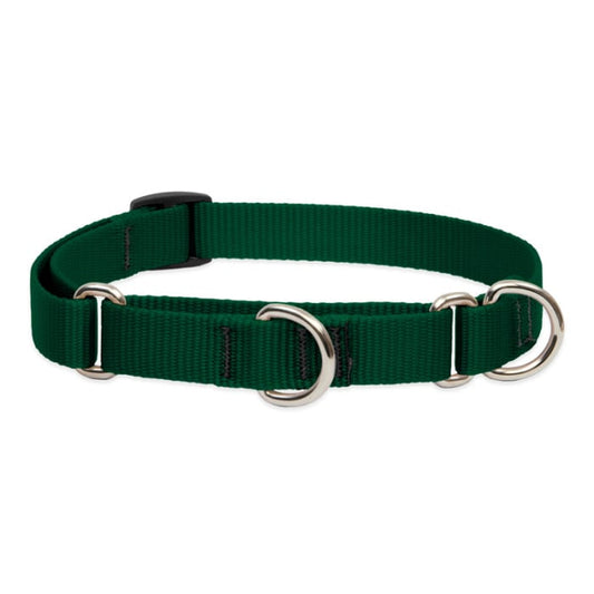 Lupine Pet Dog 3/4 In Wide 14-20 In Martingale Collar Basic Green