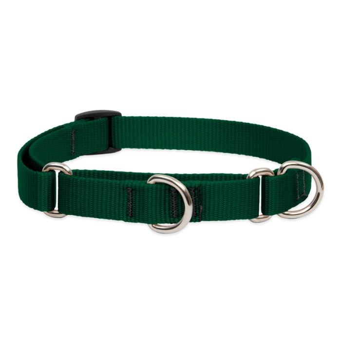 Lupine Pet Dog 3/4 In Wide 10-14 In Martingale Collar Basics Green