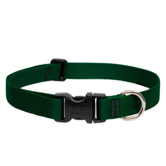 Lupine Pet Dog 1 In Wide 12-20 In Adjustable Collar Basics Green