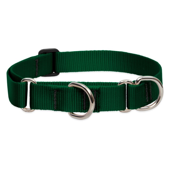 Lupine Pet Dog 1 In Wide 15-22 In Martingale Collar Basic Green