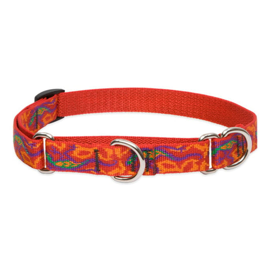 Lupine Pet Dog 3/4 In Wide 10-14 In Martingale Collar Original Designs Go Go Gecko