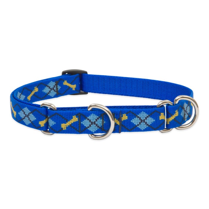 Lupine Pet Dog 3/4 In Wide 14-20 In Martingale Collar Original Designs Dapper Dog