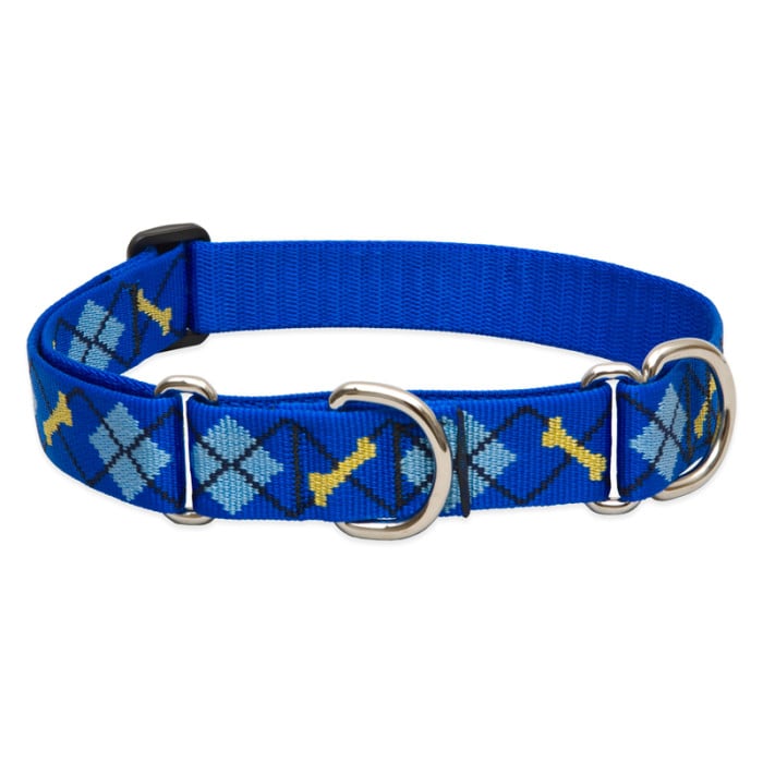 Lupine Pet Dog 1 In Wide 19-27 In Martingale Collar Original Designs Dapper Dog