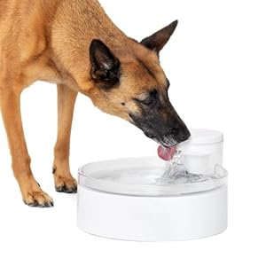 PetSafe Outlast Pumpless Dog Water Fountain 128 oz