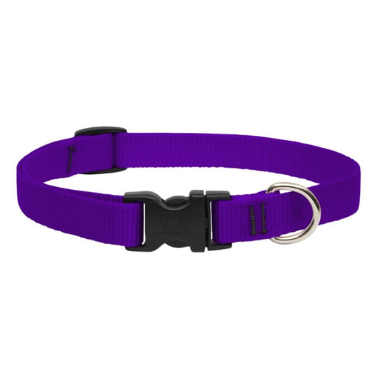 Lupine Pet Dog 3/4 In Wide 13-22 In Adjustible Collar Basic Purple