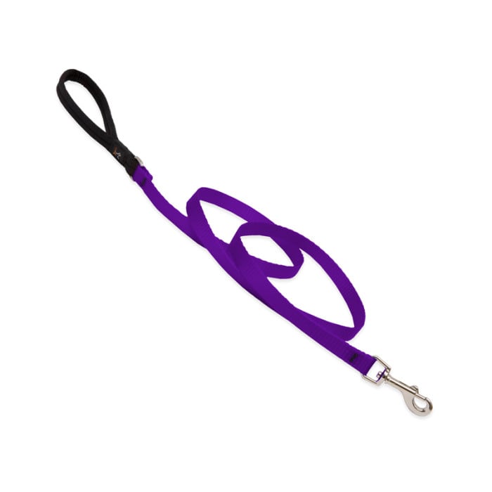 Lupine Pet Dog 6 Ft Long 3/4 In Leash Basics Purple