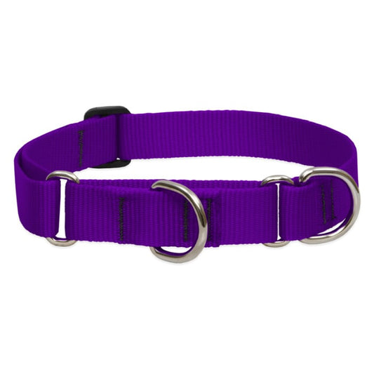Lupine Pet Dog 1 In Wide 15-22 In Martingale Collar Basic Purple