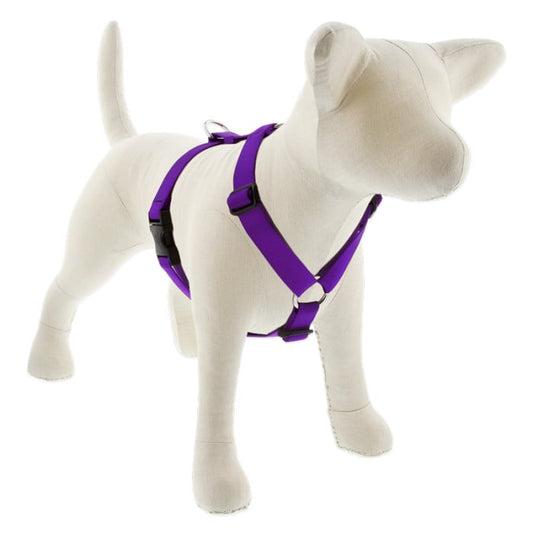 Lupine Pet Dog 1 In 20-32 In Roman Harness Basics Purple