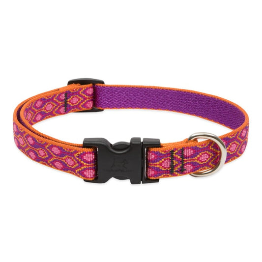 Lupine Pet Dog 3/4 In Wide 15-25 In Adjustable Collar Original Designs Alpen Glow