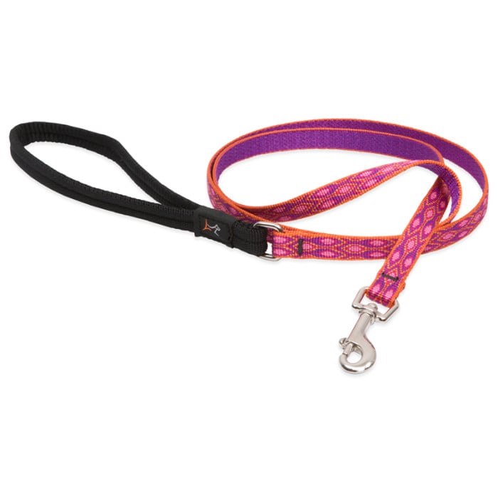 Lupine Pet Dog 6 Ft Long 3/4 In Leash Original Designs Alpen Glow