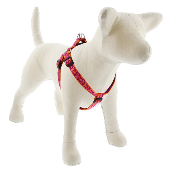 Lupine Pet Dog 3/4 In Wide 15-21 In Step  In Harness Original Designs Alpen Glow
