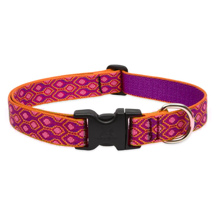 Lupine Pet Dog 1 In Wide 12-20 In Adjustable Collar Original Designs Alpen Glow