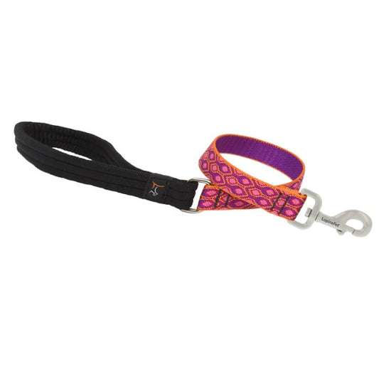 Lupine Pet Dog 2 Ft Long 1 In Leash Original Designs Alpen Glow