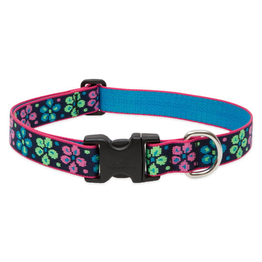 Lupine Pet Dog 1 In Wide 12-20 In Adjustable Collar Original Designs Flower Power