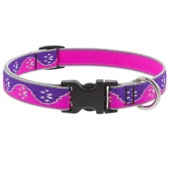 Lupine Pet Dog 3/4 In Wide 13-22 In Adjustible Collar Reflective Highlights Pink Paws