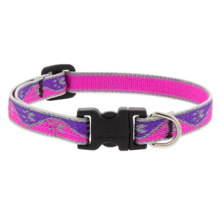 Lupine Pet Dog 2/4 In Wide 9-14 In Adjustable Collar Reflective Highlights Pink Paws