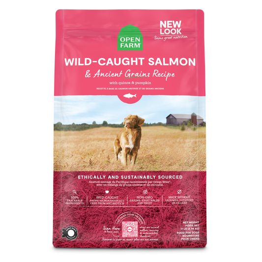 Open Farm Wild-Caught Salmon & Ancient Grains Kibble For Dogs 22lb Bag