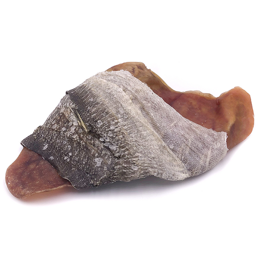 Icelandic+ Dog Cod Skin Wrapped Pig Ear