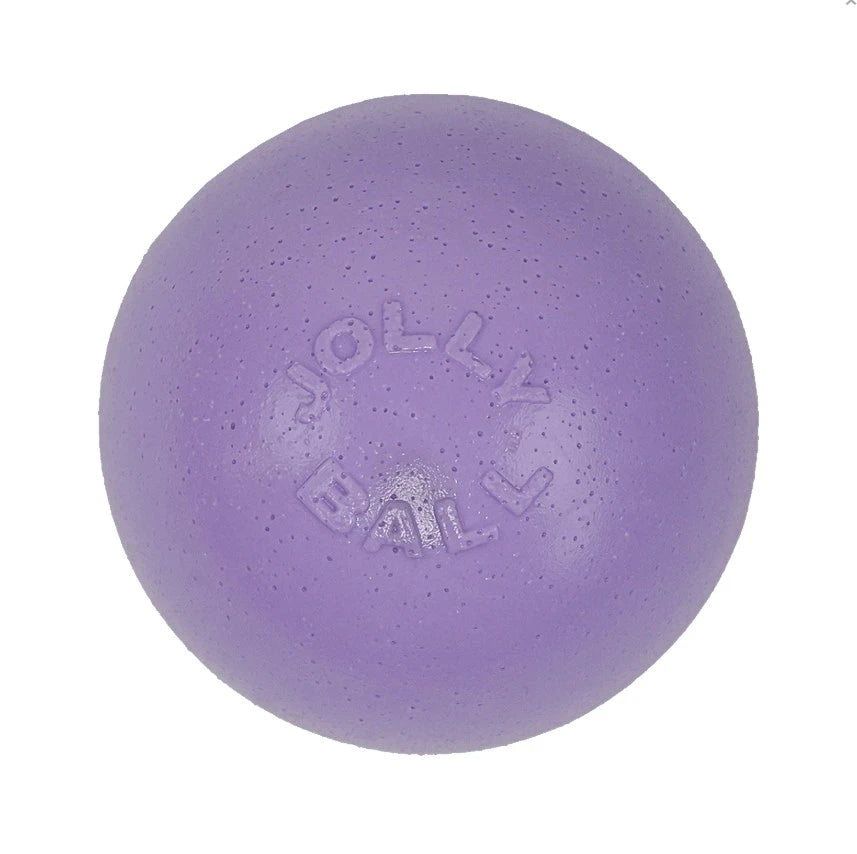 Jolly Pets Bounce-N-Play Ball Dog Toy 6 In Purple