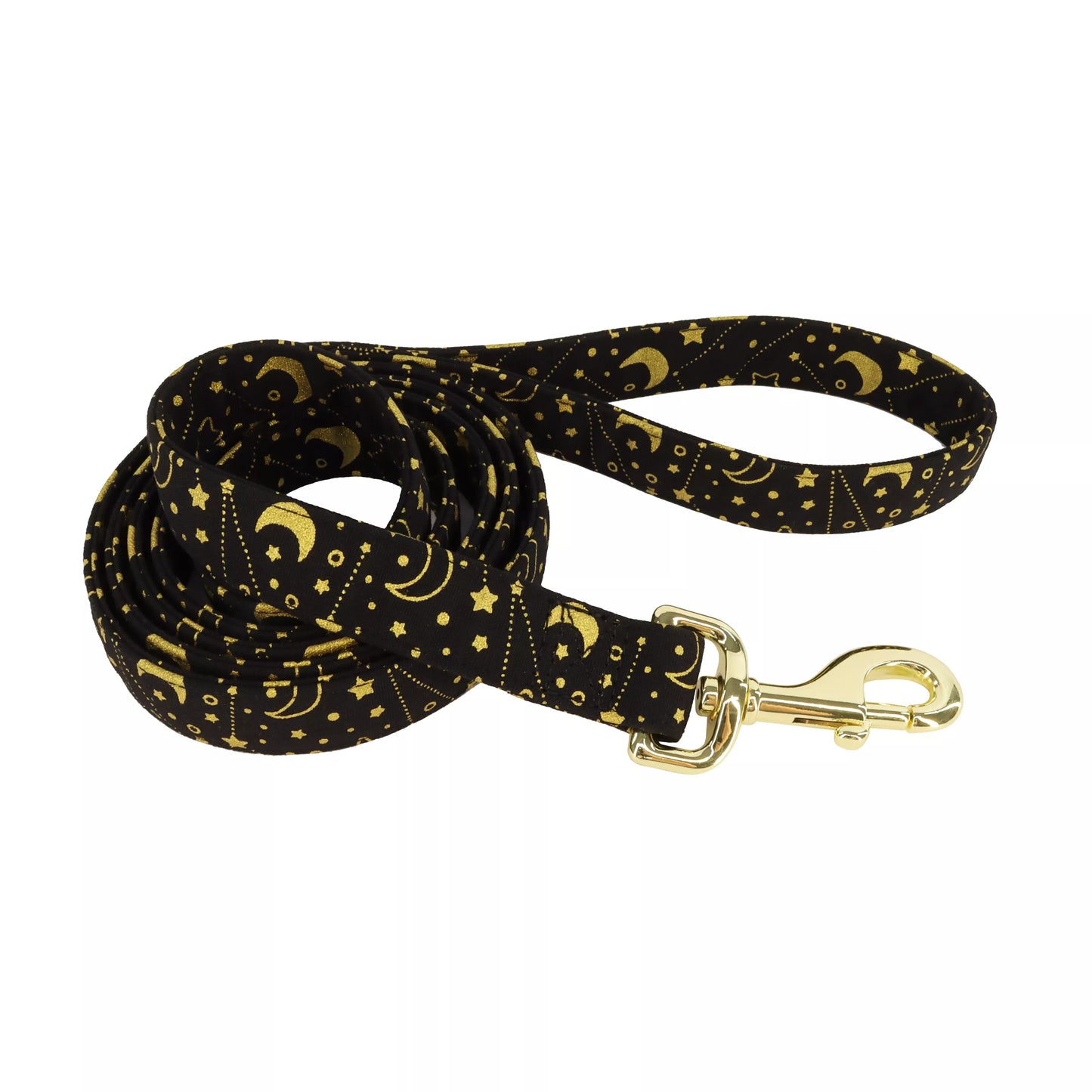 Coastal Accent Metallic 6ft Long 5/8in Dog Leash Black Galaxy