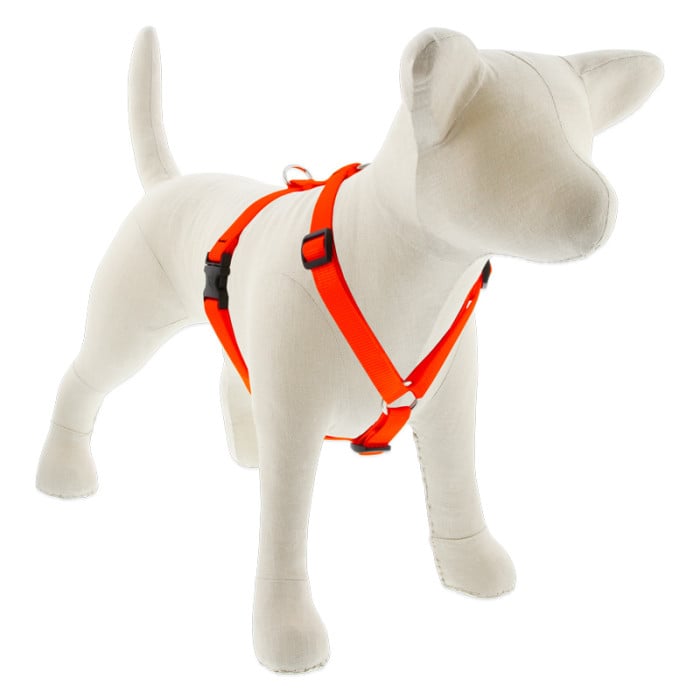 Lupine Pet Dog 3/4 In Wide 12-20 In Roman Harness Basics Blaze Orange