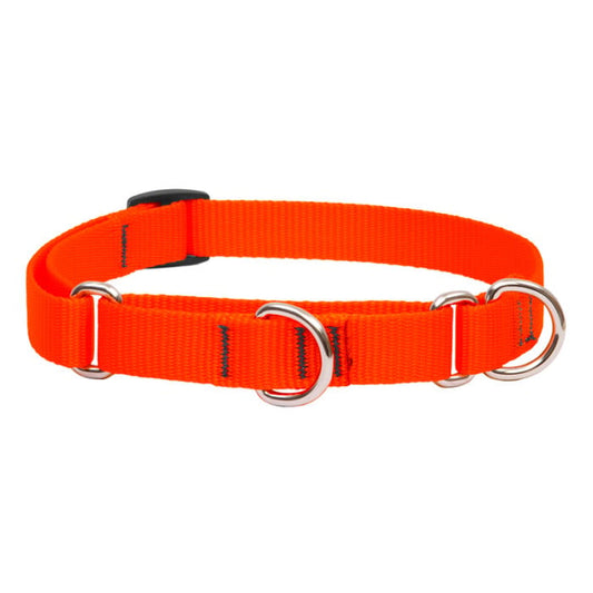 Lupine Pet Dog 3/4 In Wide 10-14 In Martingale Collar Basics Blaze Orange