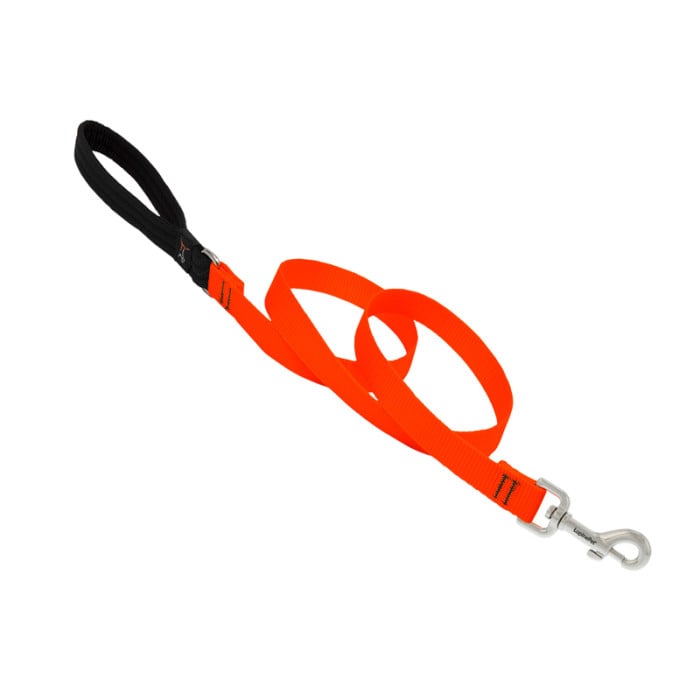 Lupine Pet Dog 6 Ft Long 3/4 In Leash Basics Blaze Orange