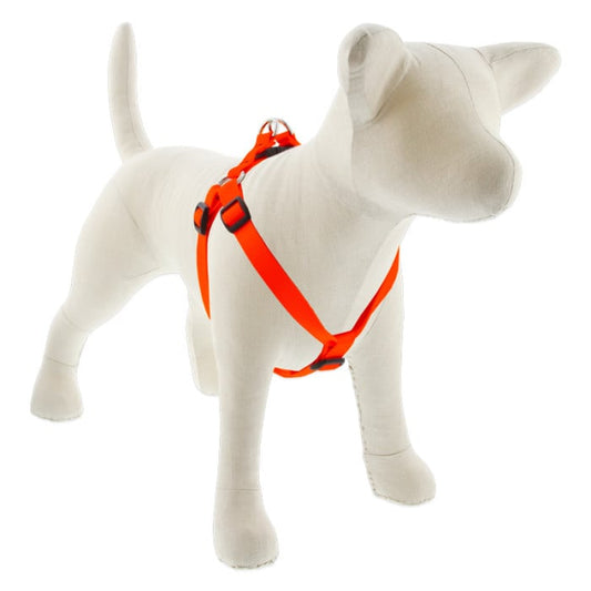 Lupine Pet Dog 3/4 In Wide 20-30 In Step  In Harness Basics Blaze Orange