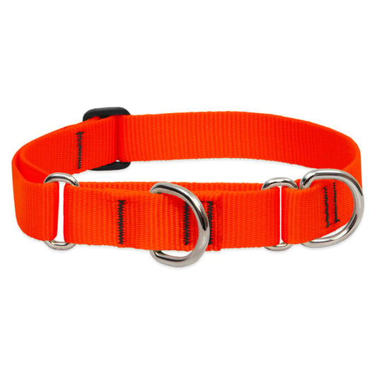 Lupine Pet Dog 1 In Wide 15-22 In Martingale Collar Basic Blaze Orange