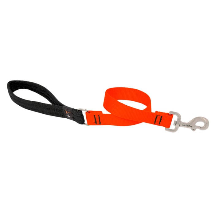 Lupine Pet Dog 2 Ft Long 1 In Leash Basics Blaze Blaze Orange