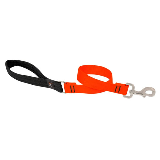 Lupine Pet Dog 2 Ft Long 1 In Leash Basics Blaze Blaze Orange