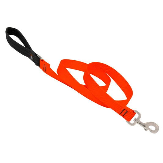 Lupine Pet Dog 6 Ft Long 1 In Leash Basics Blaze Orange