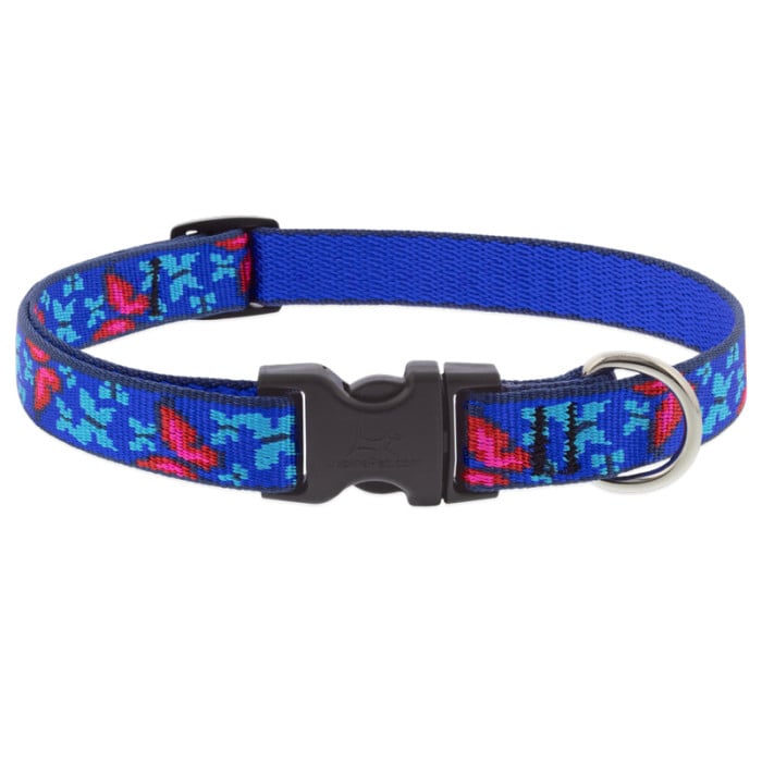 Lupine Pet Dog 2/4 In Wide 9-14 In Adjustable Collar Original Designs Social Butterfly