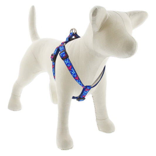 Lupine Pet Dog 3/4 In Wide 15-21 In Step  In Harness Original Designs Social Butterfly