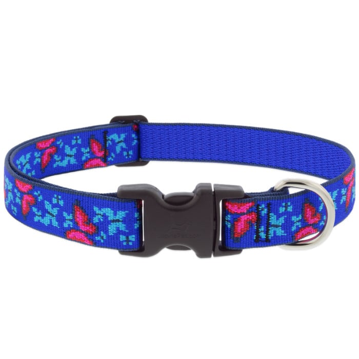 Lupine Pet Dog 1 In Wide 16-28 In Adjustable Collar Original Designs Social Butterfly
