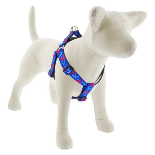 Lupine Pet Dog 1 In Wide 24-38 In Step  In Harness Original Designs Social Butterfly